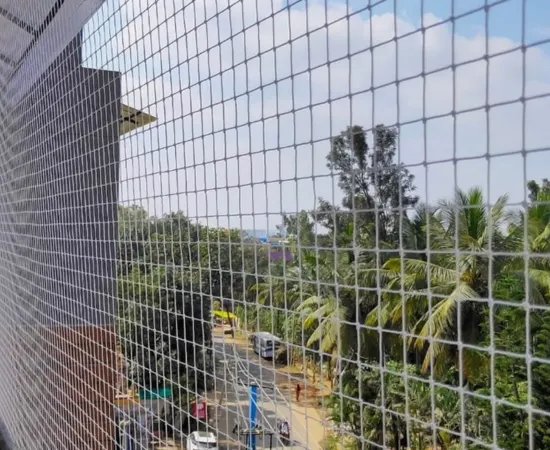 Urban Bird Net Solutions