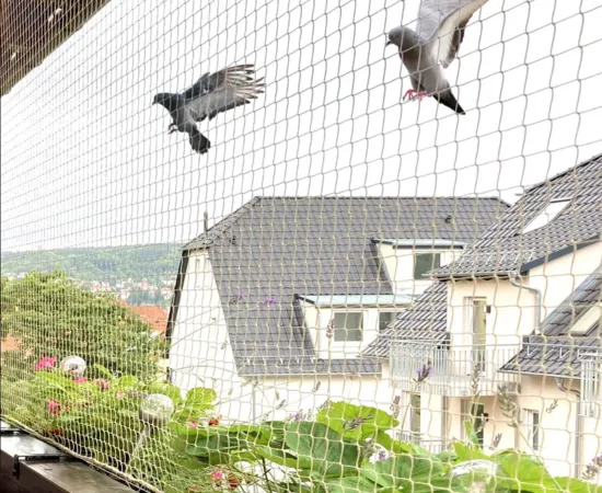 Urban Bird Net Solutions