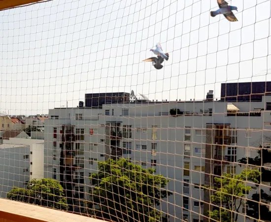 Bird Netting Service