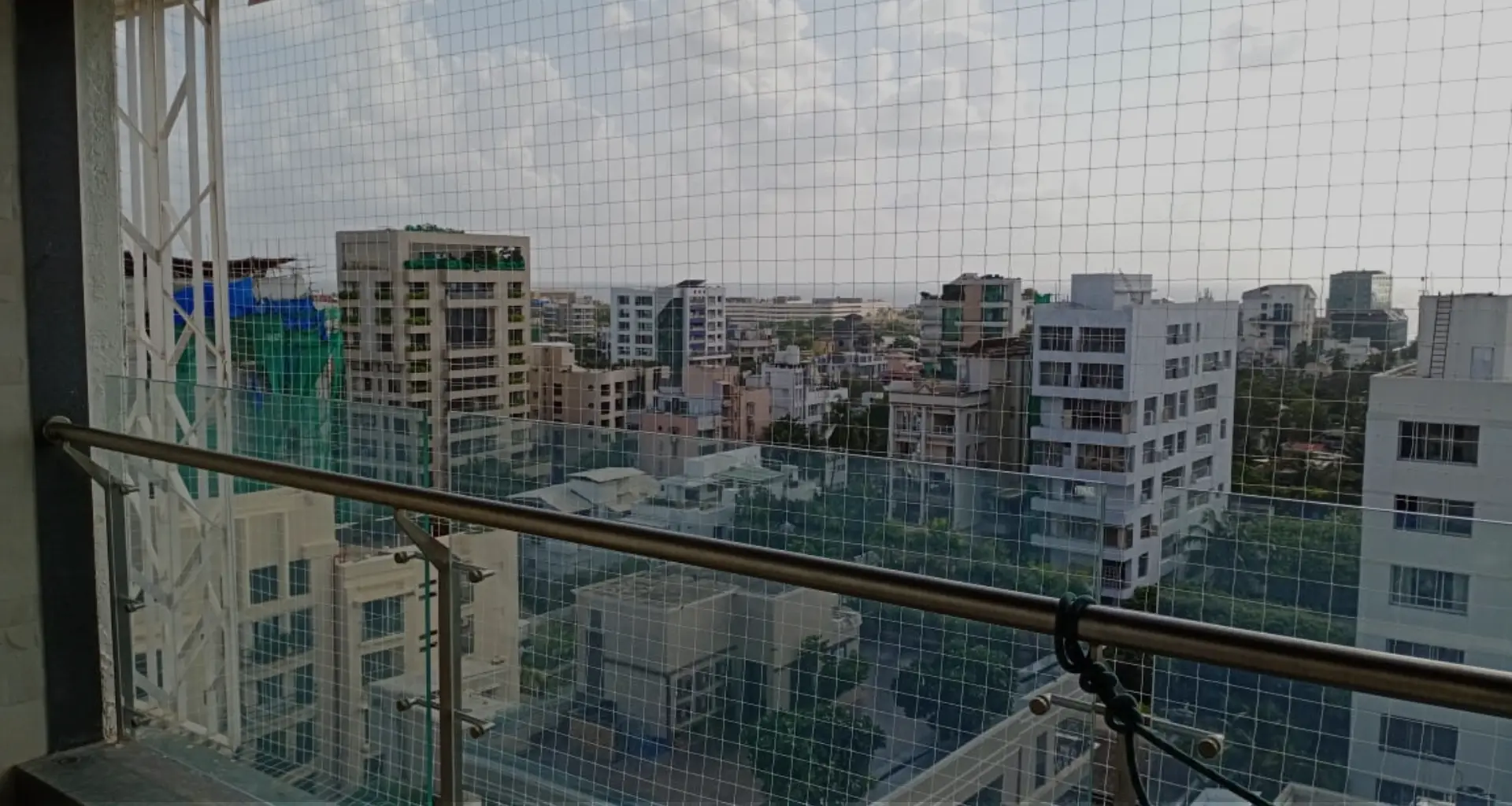 Bird Netting Services